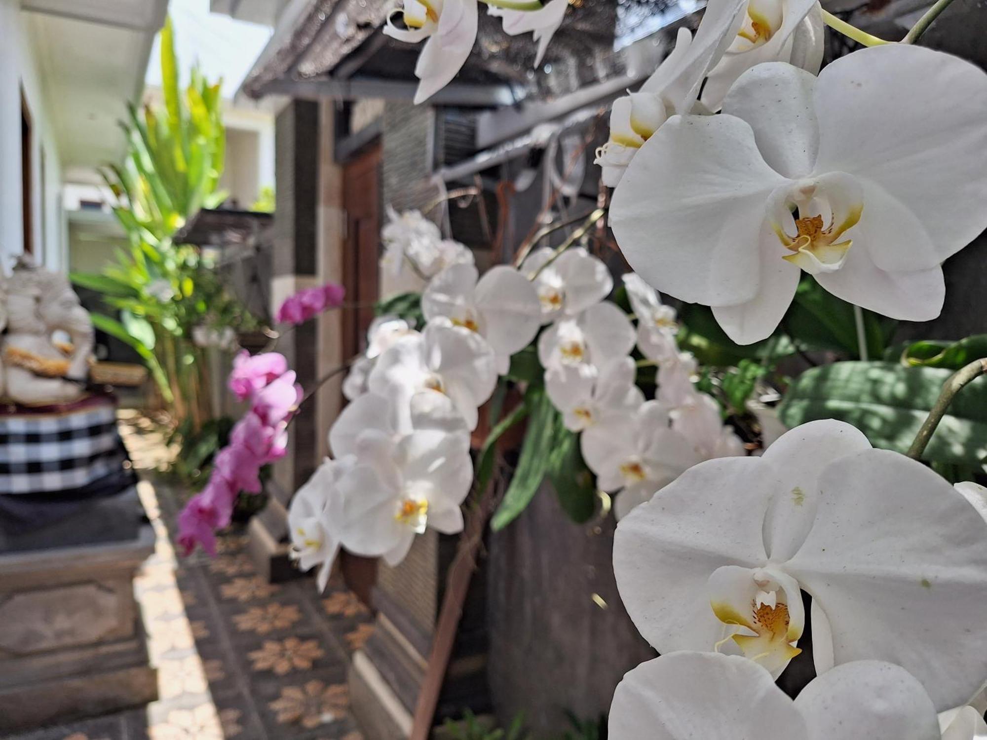 Mandox Villa Bali Ungasan Екстериор снимка